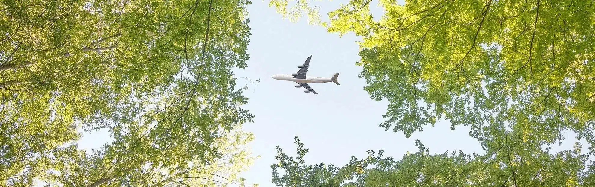 Aviation sustainability